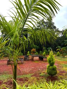 Hill View Paradise