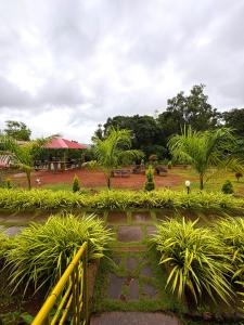 Hill View Paradise