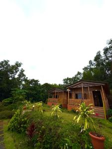 Hill View Paradise