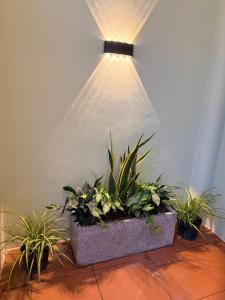 Ở Homestay Đà Nẵng
