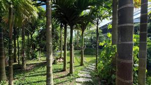 Bao Ong Thien Retreat and Senior Living - Khu Nghỉ Dưỡng Bào Ông Thiền