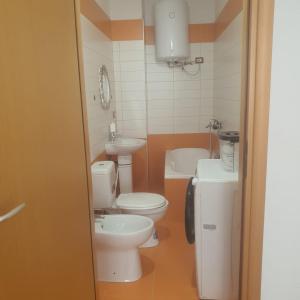 Albi