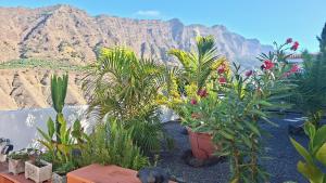 Casa Barranco