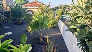Casa Barranco