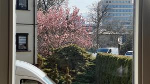 Eurokrak apartament dwupokojowy parking wifi