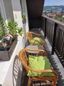 Krumlov View Apartment
