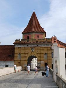 Krumlov View Apartment