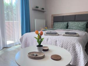 Bavarie Ski Apartment 6