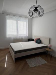 Wojciecha Apartament