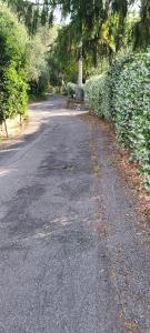 La Tigula
