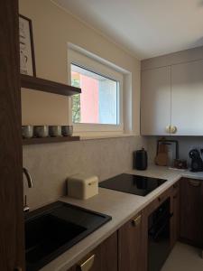 Apartament Czartoryskiego 17