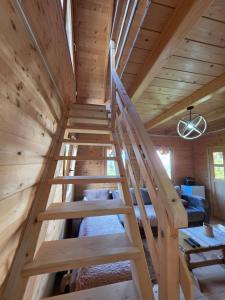 Alps of Montenegro Designer Wooden Lodge