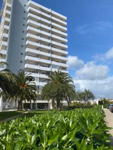 Alvor Seven 10