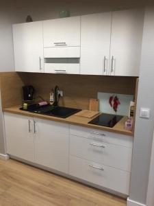 Międzywodzie Apartament Janina