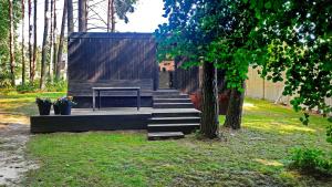 Między Drzewami - Between the Trees - Wisełka