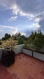 SkyNest- 2 BHK - Penthouse Vibes and Open Skies