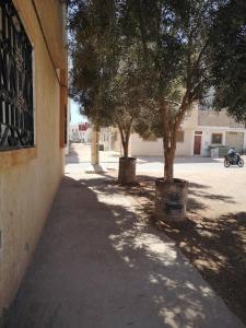 Apartment for rent in anza agadir
