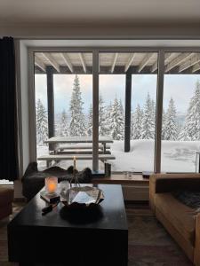 Falken Mountain Lodge - 90 m2 ski-in & out, fireplace, sauna and views
