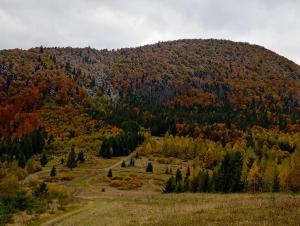 Карпатський куточок