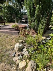 Ferienwohnung Appartement am Wildpark Bad Harzburg