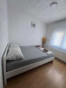 Privatan smeštaj Plava kuća