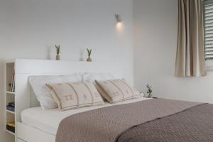 Casa Olivetta with private pool & pet friendly