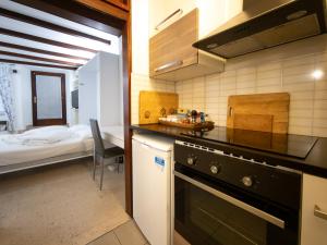 Udoben studio Filip v zgodovinskem starem mestnem jedru - COSY STUDIO FILIP IN THE HISTORICAL OLD TOWN