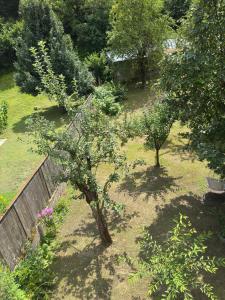 Guest House Riverside