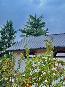 Berela Polyphonic House