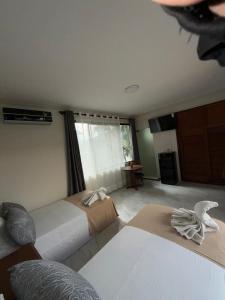 Hotel Caliz