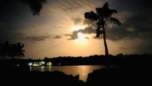Harbour villa