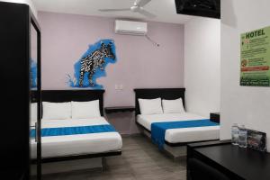 HOTEL LOS PINOS CENTRO