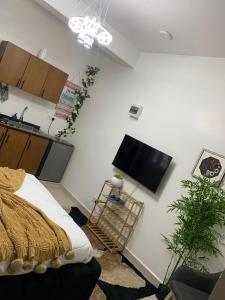 Samia apartment