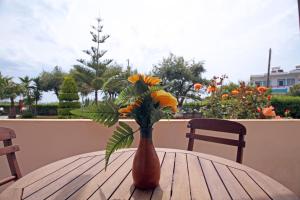 Kos Island Studios Kos Greece