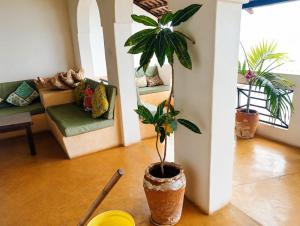 Samaki mbili house