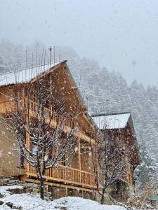Cedar Shade Cottage Jibhi