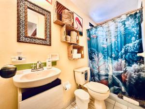 Nice apartment, equipped near the Malecon and the beach