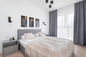 Spacious Apartment for 4 Guests with a Balcony in the Center of Łódź by Noclegi Renters