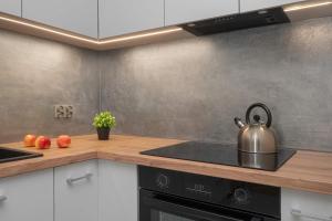 Spacious Apartment for 4 Guests with a Balcony in the Center of Łódź by Noclegi Renters
