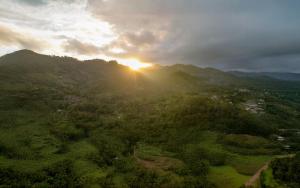 Karickanattu Nature Resort