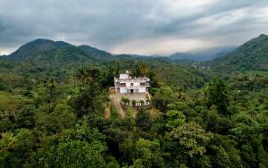 Karickanattu Nature Resort