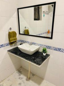 Avenaa Aurum Homestay Udaipur