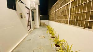 Avenaa Aurum Homestay Udaipur