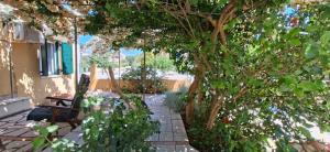 Helens Bougainvillea