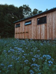 Apiatti Bee Farm - Sleep Above the Bees