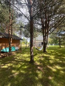 Domek w Linowie, Balia, Basen, Plac zabaw, Leśny ogród, 350m Jezioro