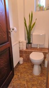 Bartók Béla Apartman