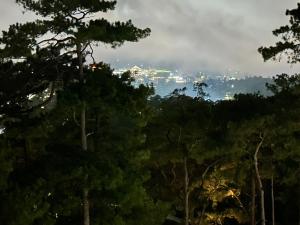 Balai Nikkita-Baguio
