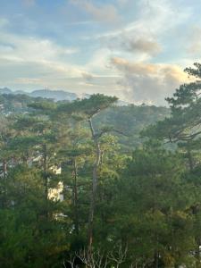 Balai Nikkita-Baguio