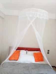 Global Threads Homes